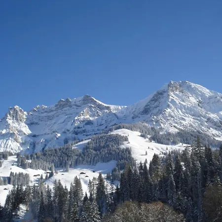 Chalet Allmegrat Adelboden Exterior foto