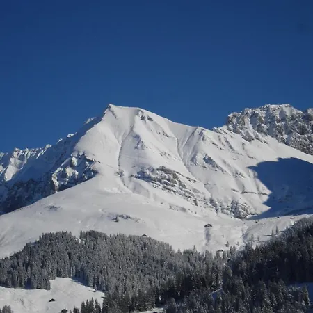 Chalet Allmegrat Adelboden Exterior foto