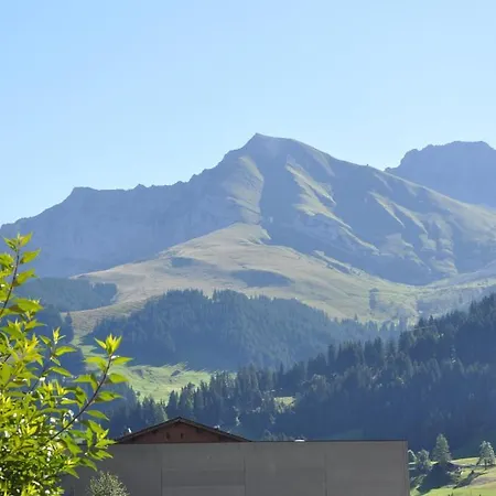 Chalet Allmegrat Adelboden Exterior foto