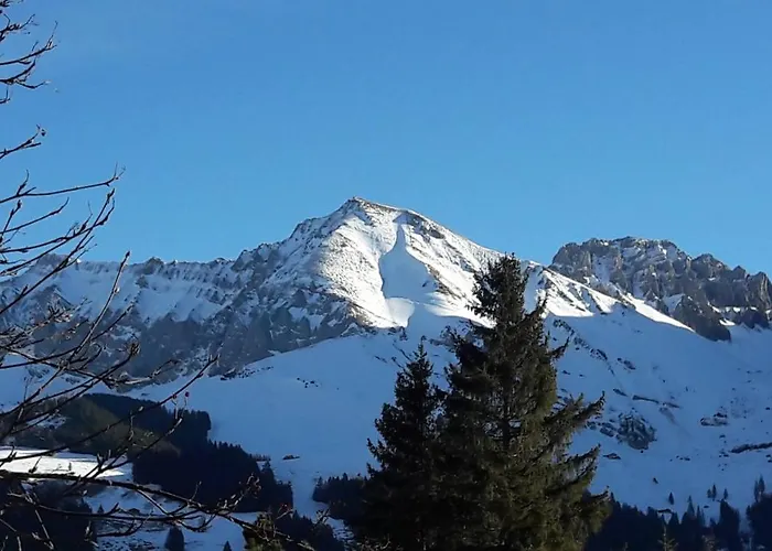 Chalet Allmegrat