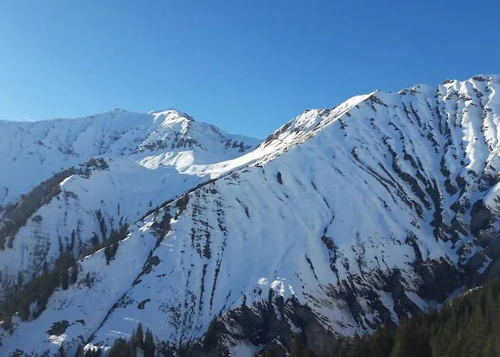Chalet Allmegrat