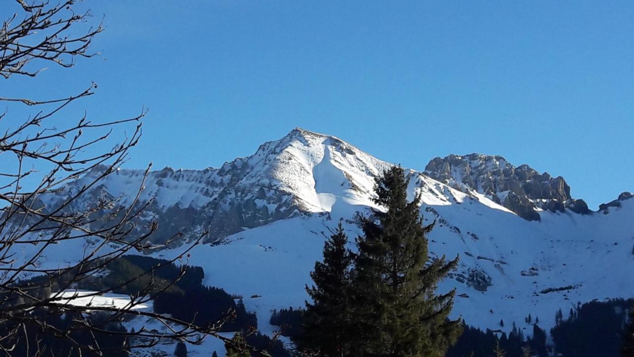 Allmegrat Appartement Adelboden