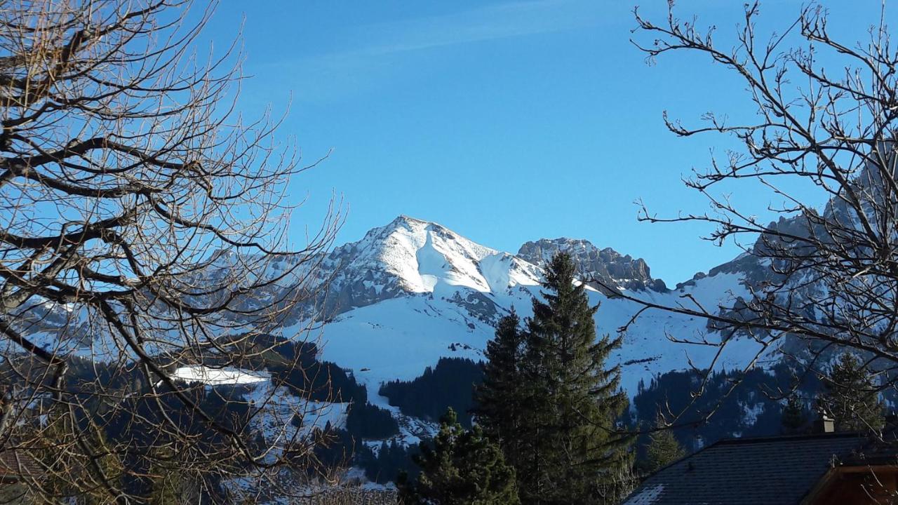 Allmegrat Appartement Adelboden
