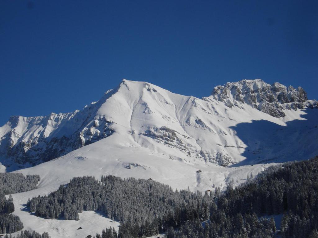 Allmegrat * Adelboden