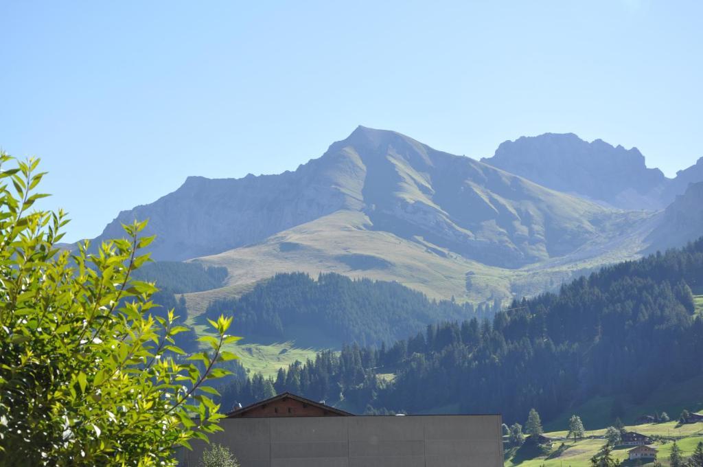 Apartment Allmegrat Adelboden