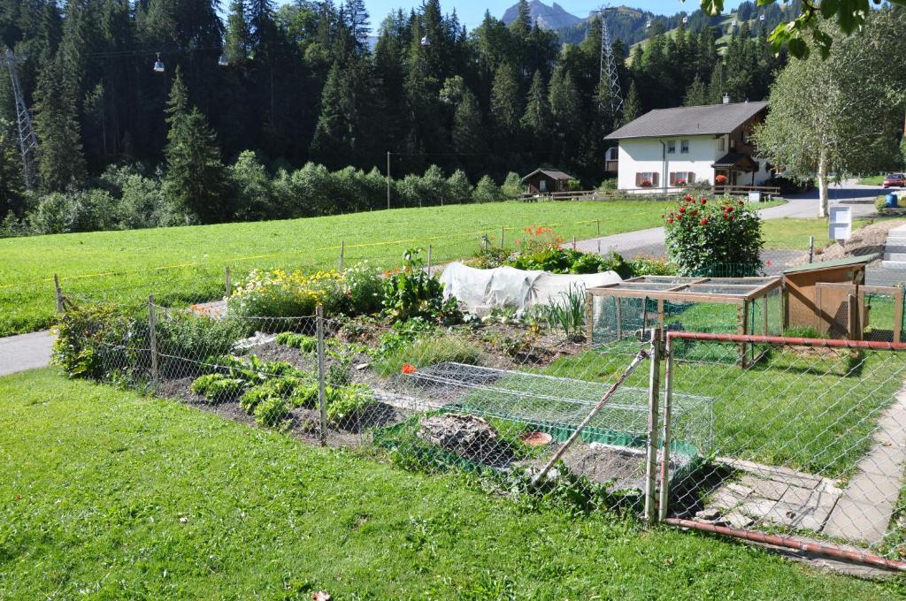 Allmegrat Apartment Adelboden