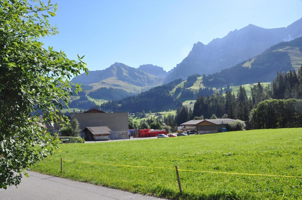 Allmegrat Appartement Adelboden